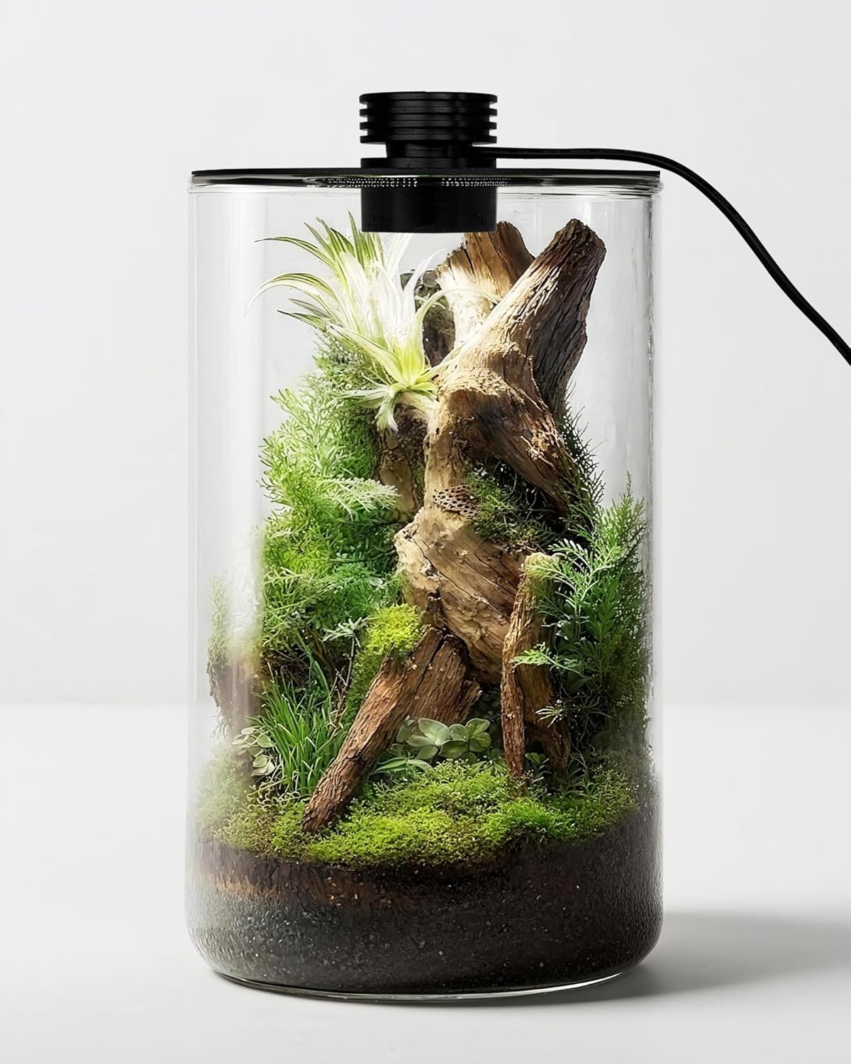 Office Lighting Decor - Glazen terrarium voor binnen met groeilamp,