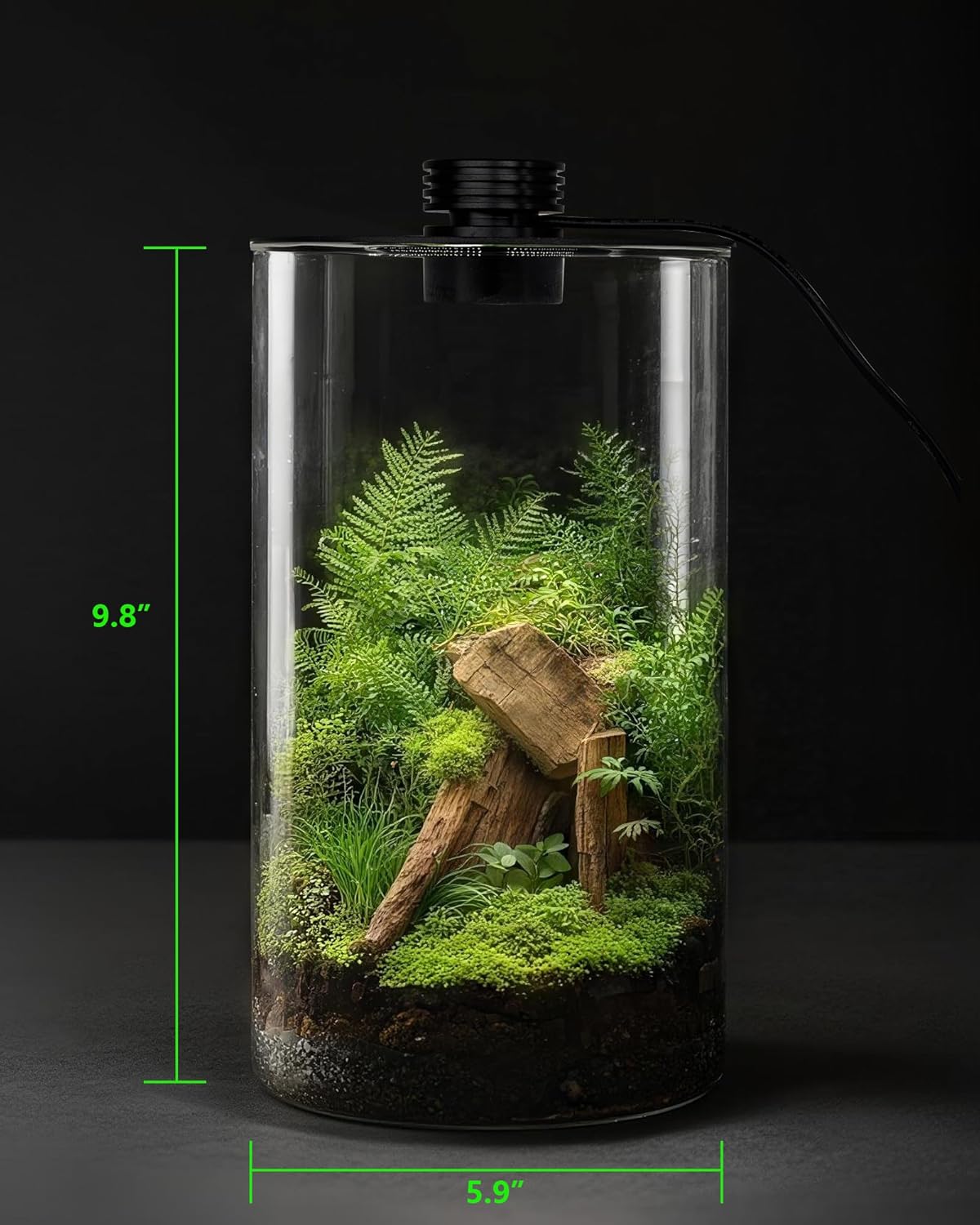 Glazen terrarium voor binnen m - Office Lighting Decor recensie en prijs