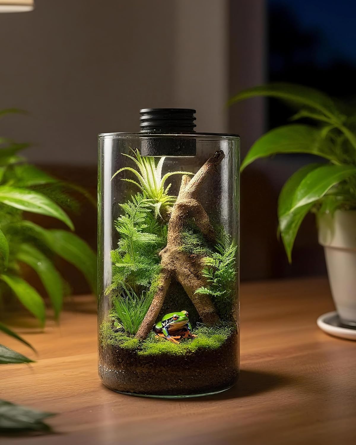 Glazen terrarium voor binnen m - Office Lighting Decor recensie en prijs