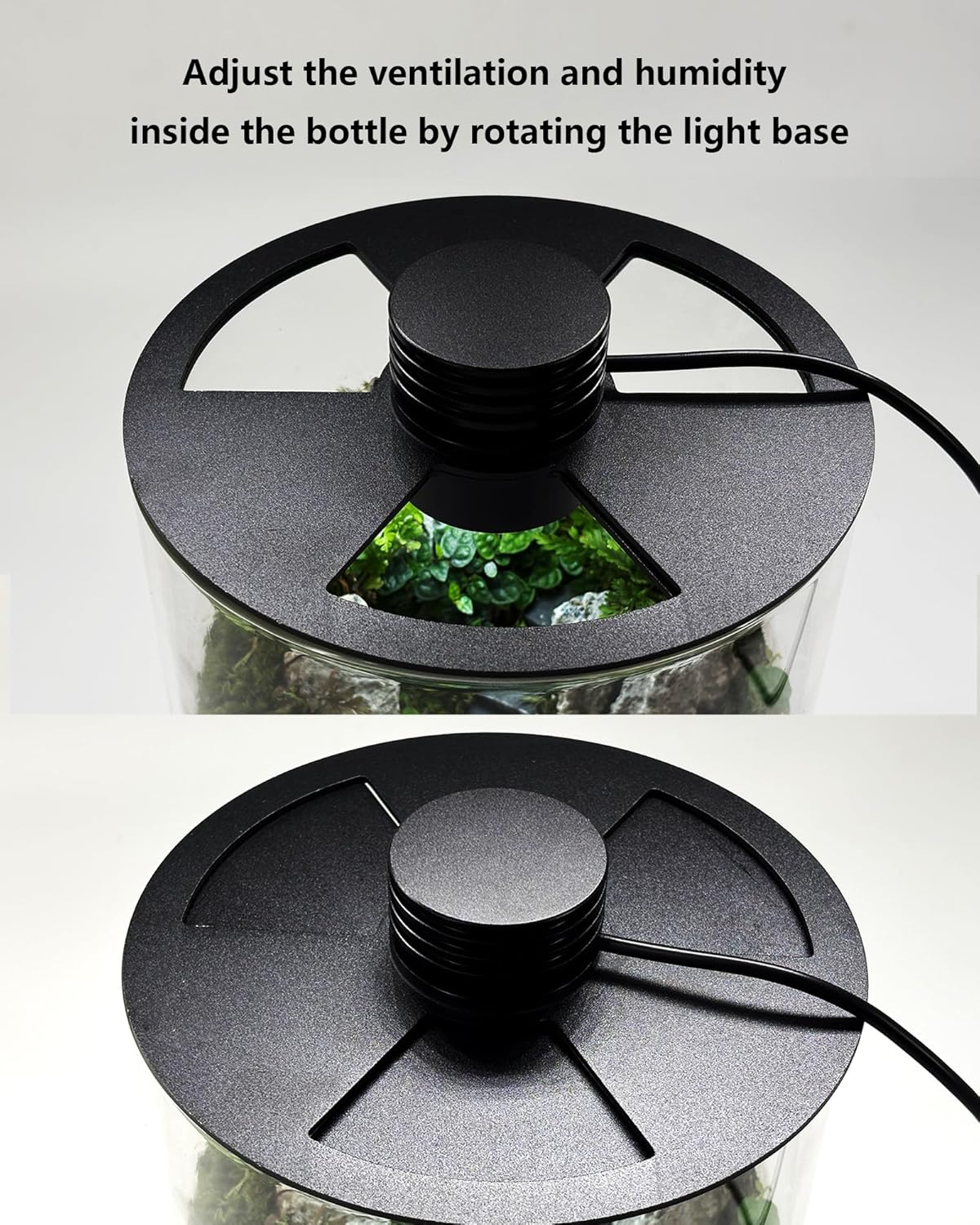 Glazen terrarium voor binnen m - Office Lighting Decor recensie en prijs